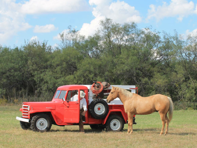 Neal Hughs' 1956 Willys Pickup