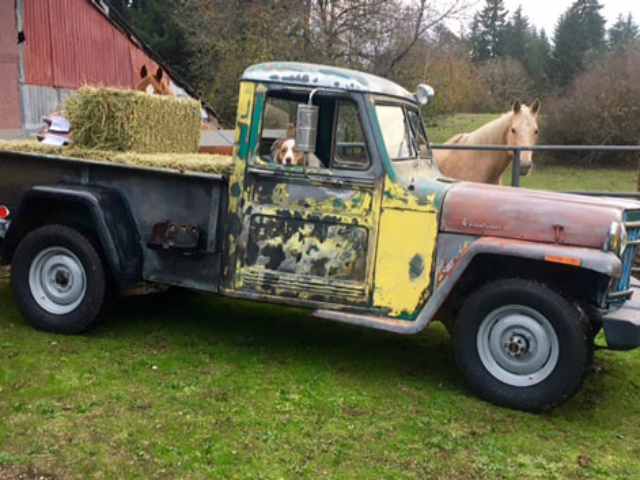 Rus Swartling's 1956 Willys Truck