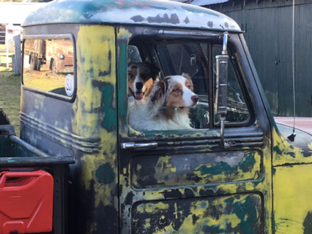 Rus Swartling's 1956 Willys Truck
