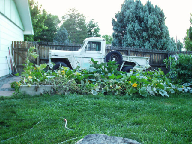 Brent Harper's 1961 Willys Pickup