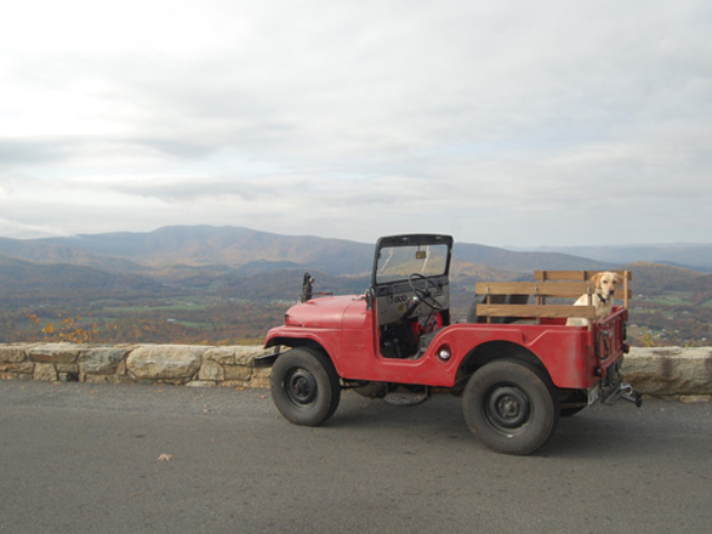 Travis McKinney's 1959 Willys CJ-5