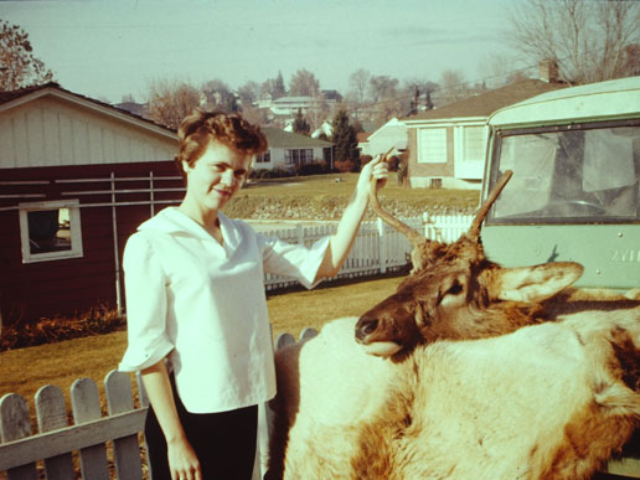 Curt Porteus' 1948 Willys CJ-2A