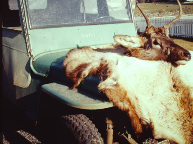 Curt Porteus' 1948 Willys CJ-2A