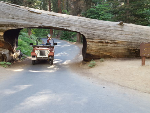 Brian Gamache's 1960 CJ-5