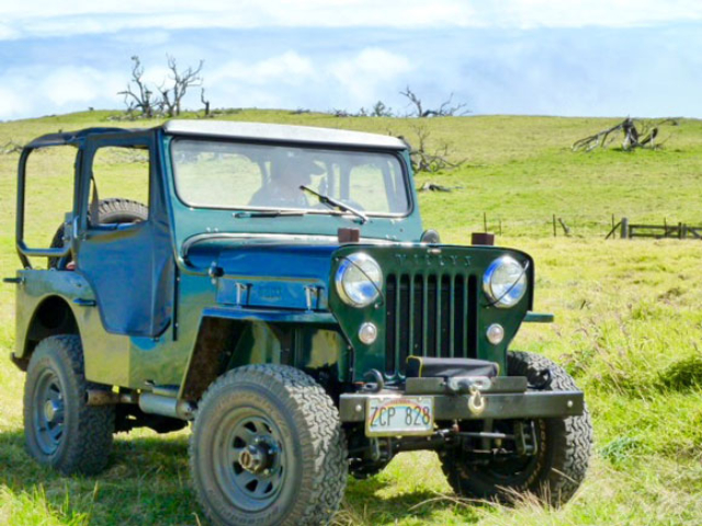 Bill Jackson's 1955 CJ-3B