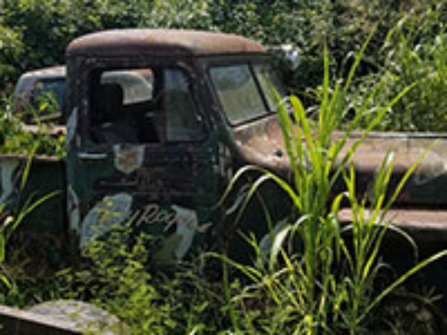 Freddie Goss - Willys Truck