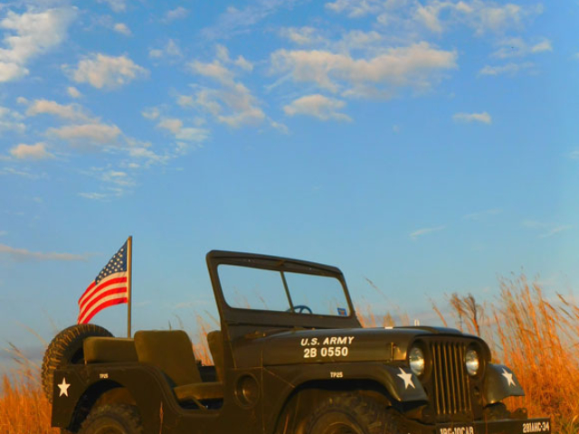 Cade Ifland's 1954 Willys M38A1