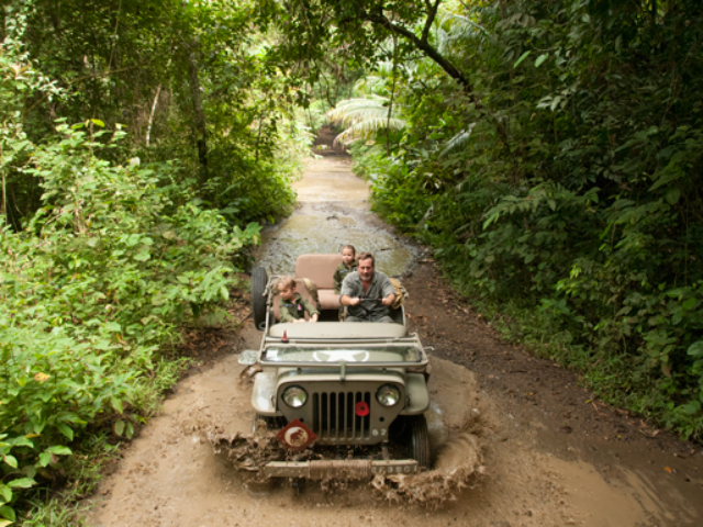 Andrew Coates' 1966 CJ-3B