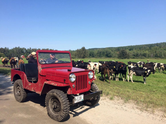 Jon Cantin's 1954 Willys CJ-3B
