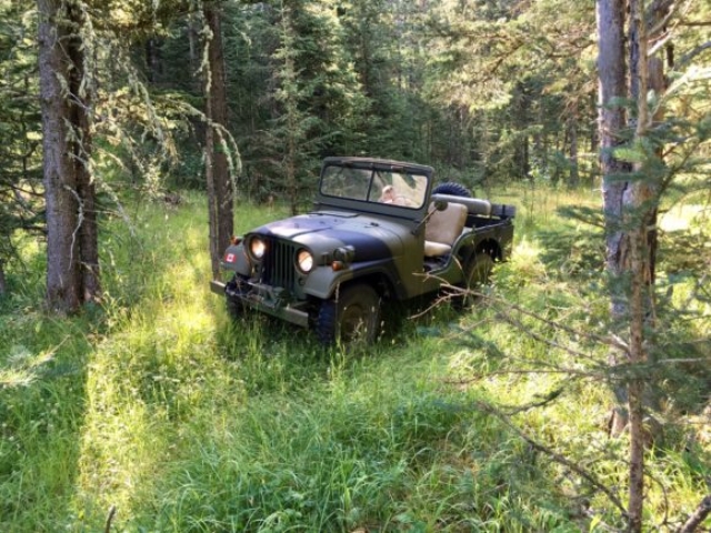 Wayne Hingley's 1967 M38A1 CDN2 Canadian