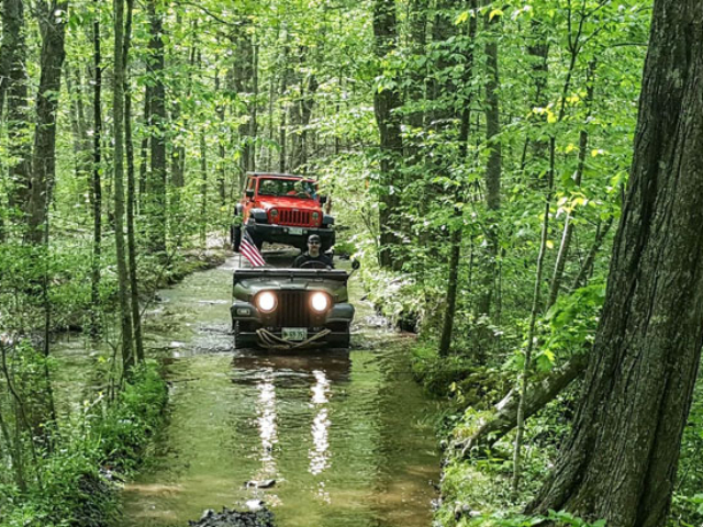 David Lorandeau's 1954 M38A1