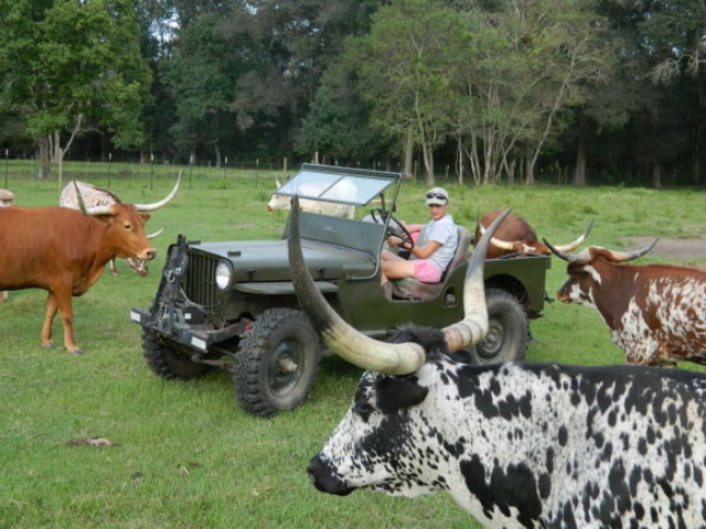 James Cloakey's 1947 Willys CJ-2A
