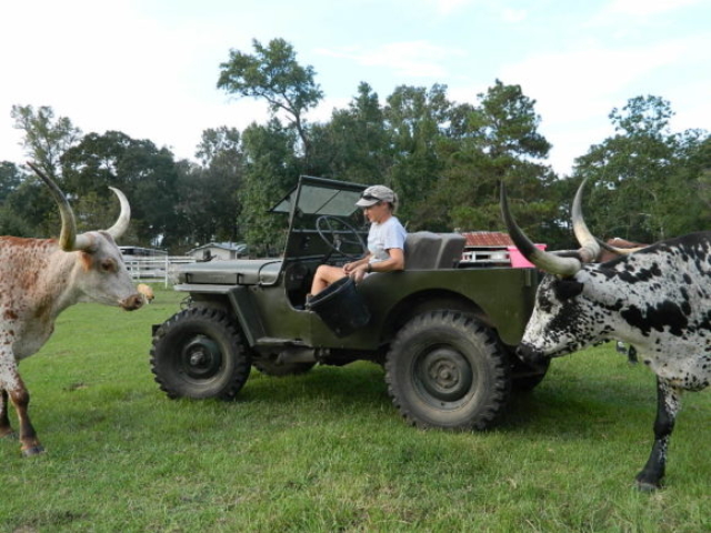 James Cloakey's 1947 Willys CJ-2A