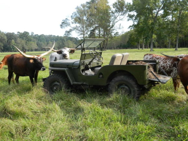 James Cloakey's 1947 Willys CJ-2A