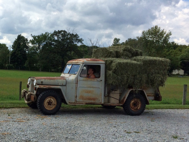 Amanda Haakenson's 1949 Willys Truck