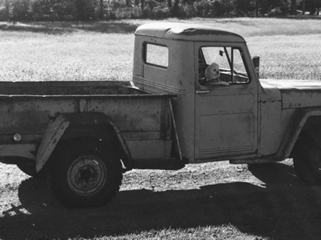 Amanda Haakenson's 1949 Willys Truck