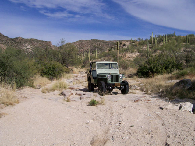 Brian Wakefield's 1949 Willys CJ-3A