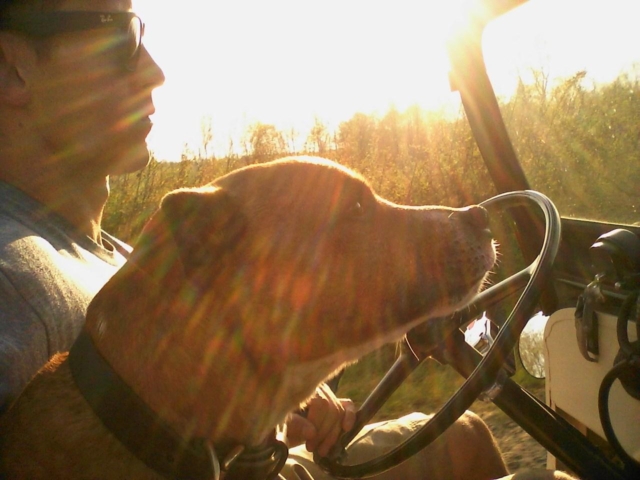 rennie barchiesi 1962 7 cj-3b