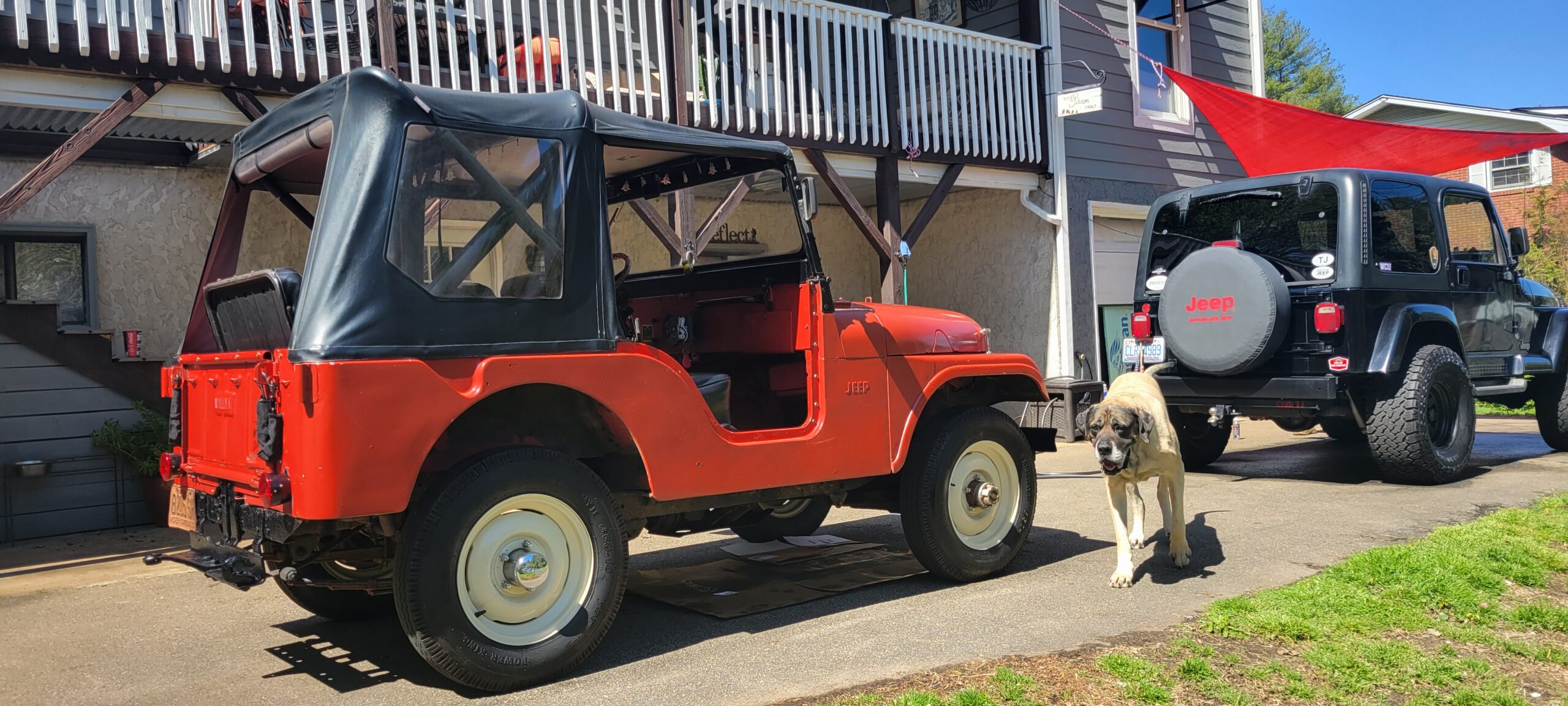 inbound3371317563538387818