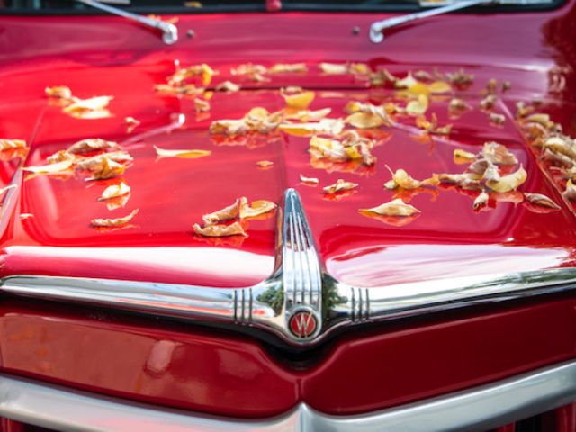 howard jesse 1955 utility wagon 3