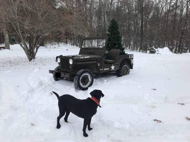 austin agee 1951 3 cj-3a