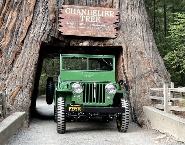 john burg willys 20 cj-2a
