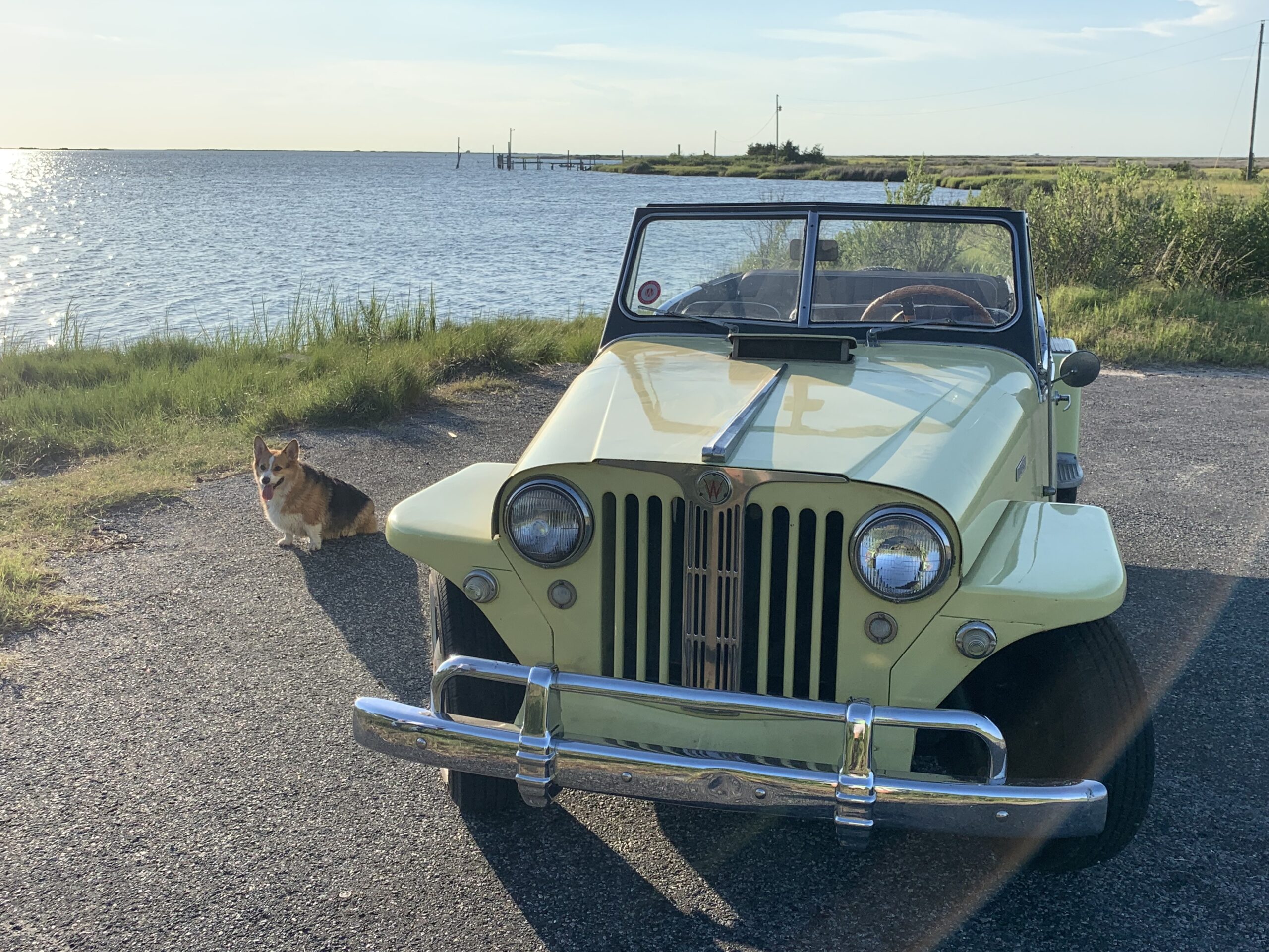 steve drane 1949 jeepster 1