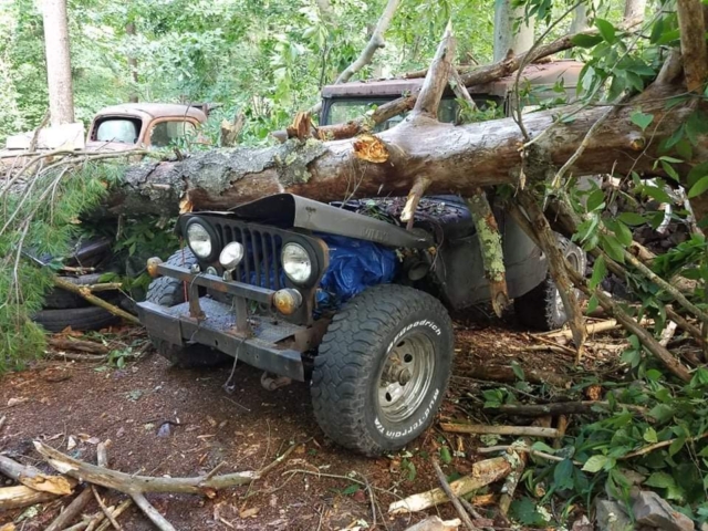 dani carter 1946 3 cj-2a