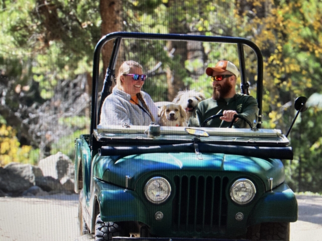 bill davis 1959 3 cj-5