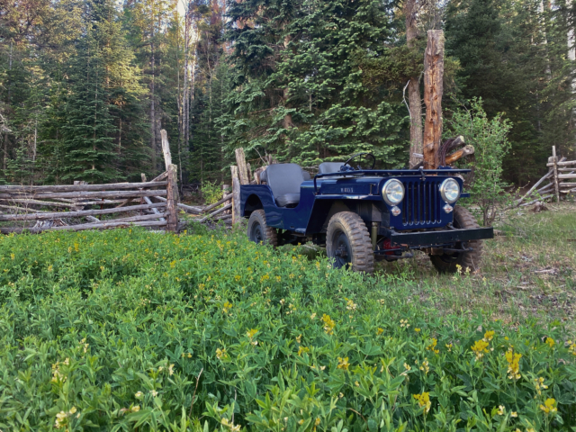 daniel avis willys 5 cj-2a