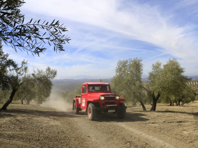 helena de la joya 1956 truck 10