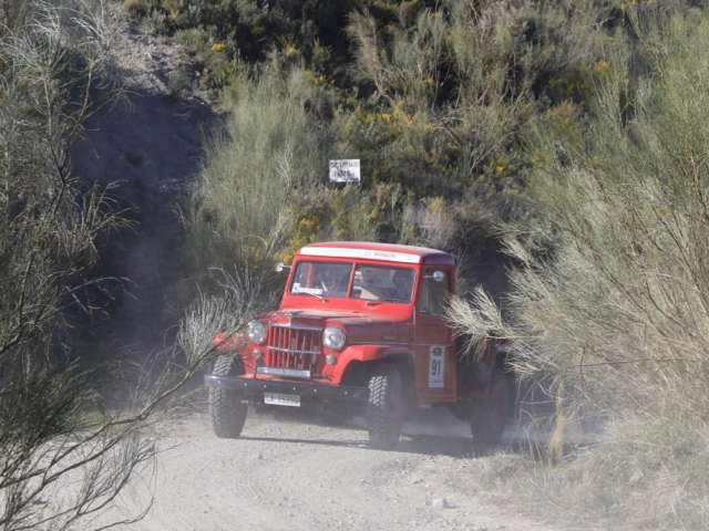 helena de la joya 1956 truck 8