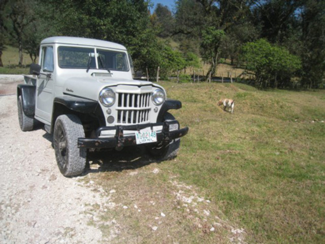 Jeep Photos