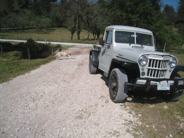 Jeep Photos