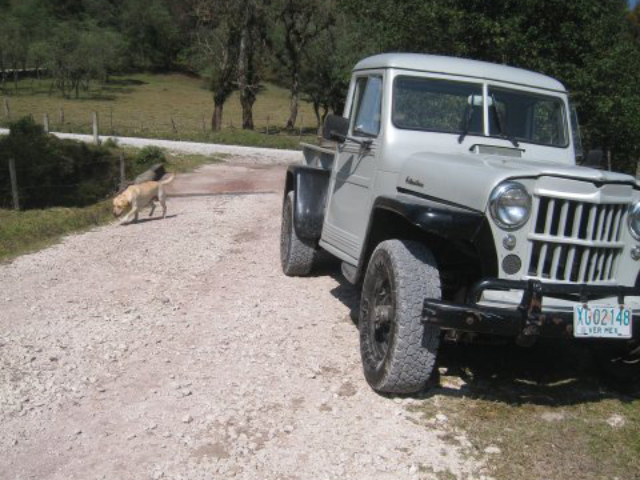 Jeep Photos