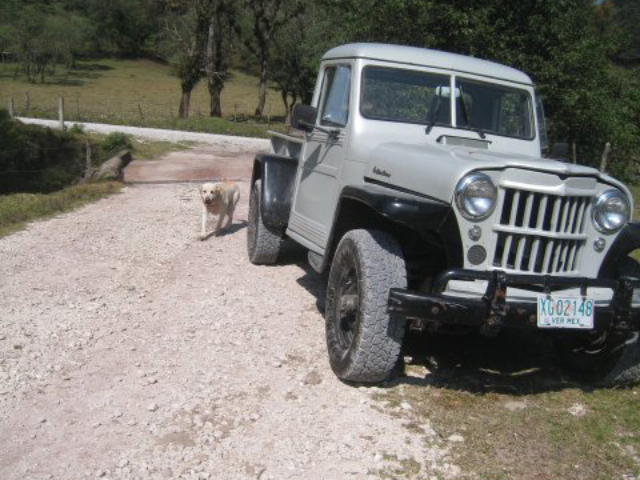 Jeep Photos