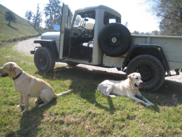 Jeep Photos