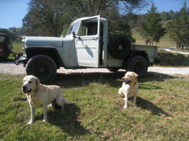 Jeep Photos