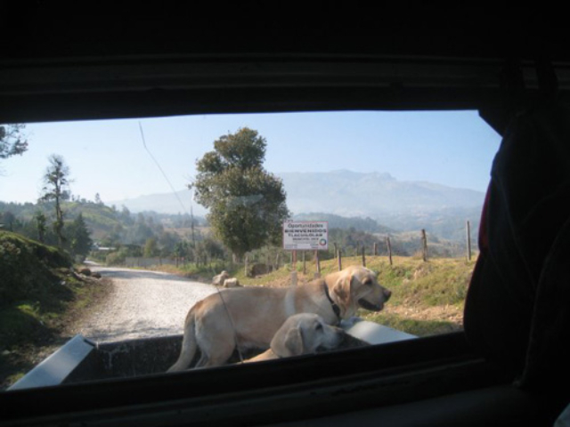 Jeep Photos