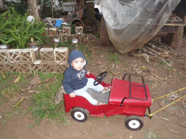 Willys Pedal Car