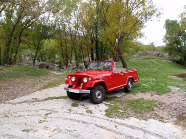 Willys