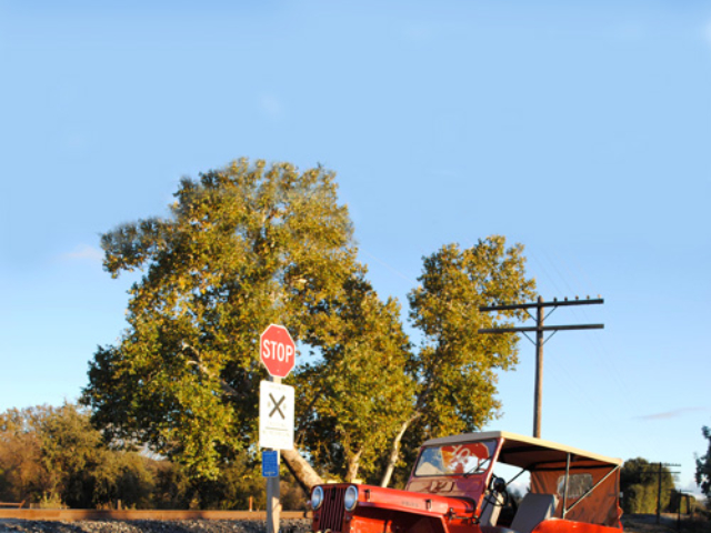 roger-siminoff-cj2a-2