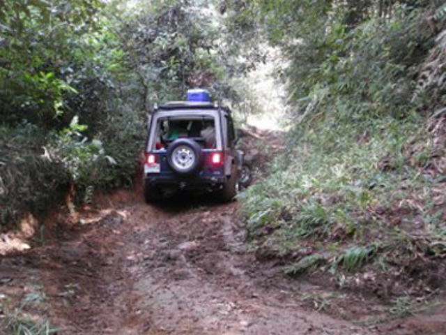 Jeep Photos