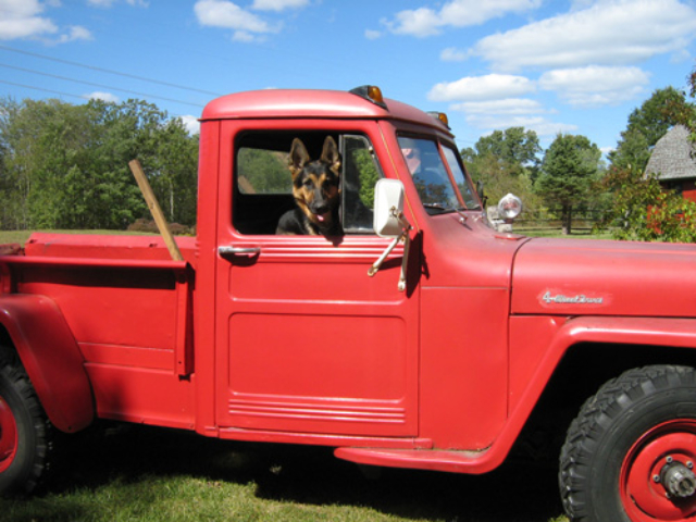 samantha-butler-willys-1
