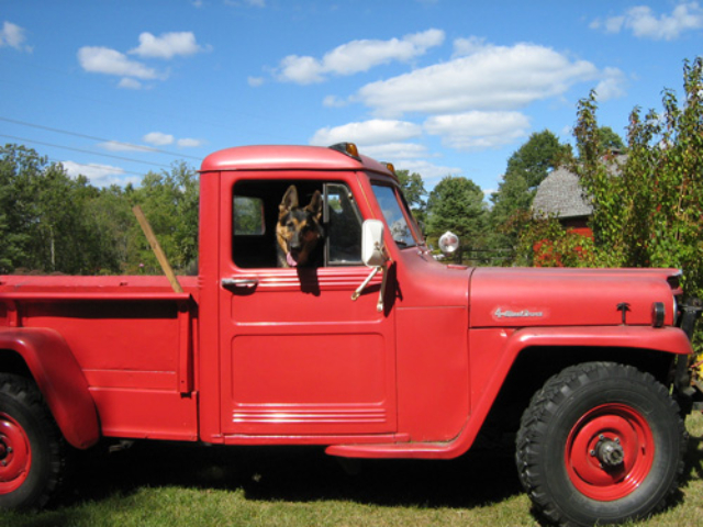 samantha-butler-willys-2