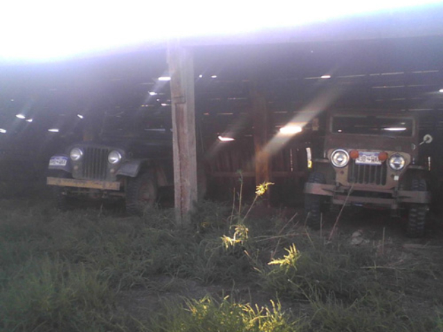 1949 Willys CJ-3A and 1964 CJ-5