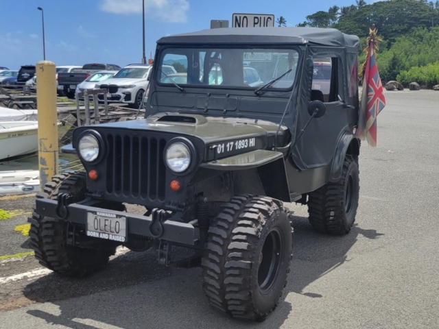 jake fernandez 1950 m38 6