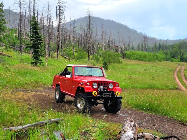 curt stechert jeepster commando 3