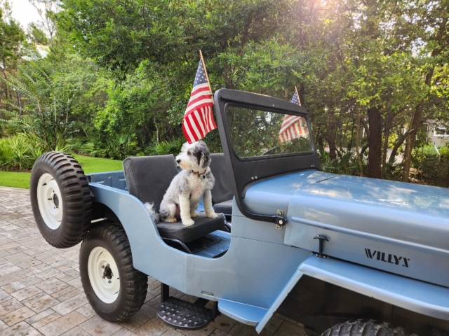 steve martin 1954 cj-3b