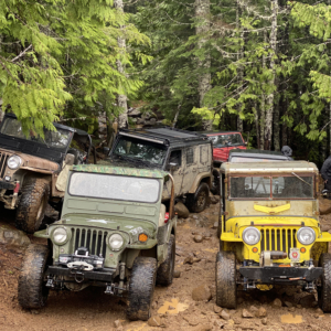 Adam Greear 1951 CJ 3A 3